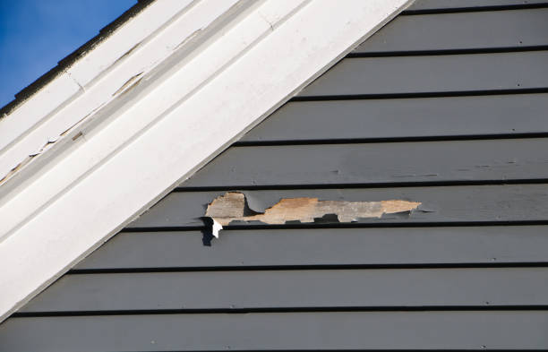 Same-Day Junk Removal Services in Sonterra, TX